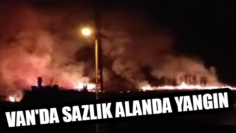 Van'ın Gevaş ilçesinin Van Gölü sahilindeki sazlık alanda çıkan yangın