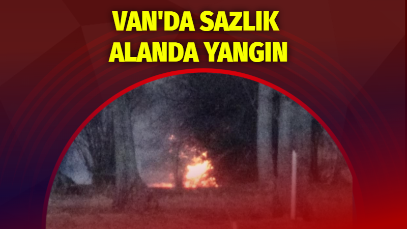 Van'ın İpekyolu ilçesinde sazlık alanda çıkan yangın, ağaçlara sıçramadan itfaiye