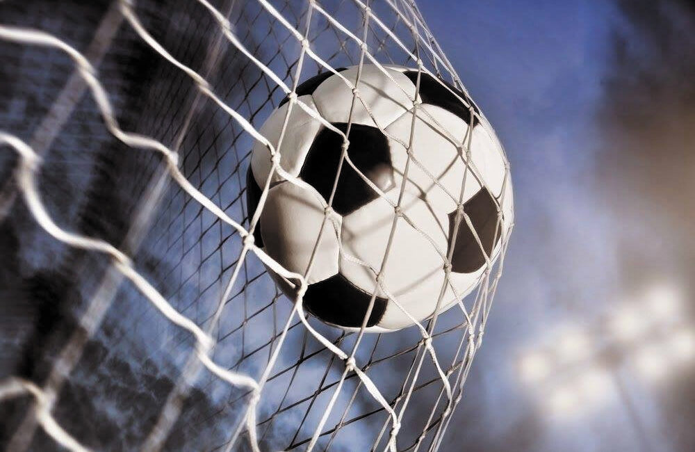 Profesyonel Futbol Disiplin Kurulu, Vanspor'un da yer aldığı TFF 2.