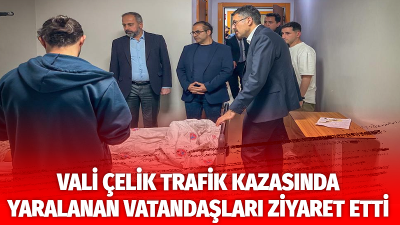 Hakkari Valisi Ali Çelik, Van’ın Gürpınar ilçesinde meydana gelen trafik