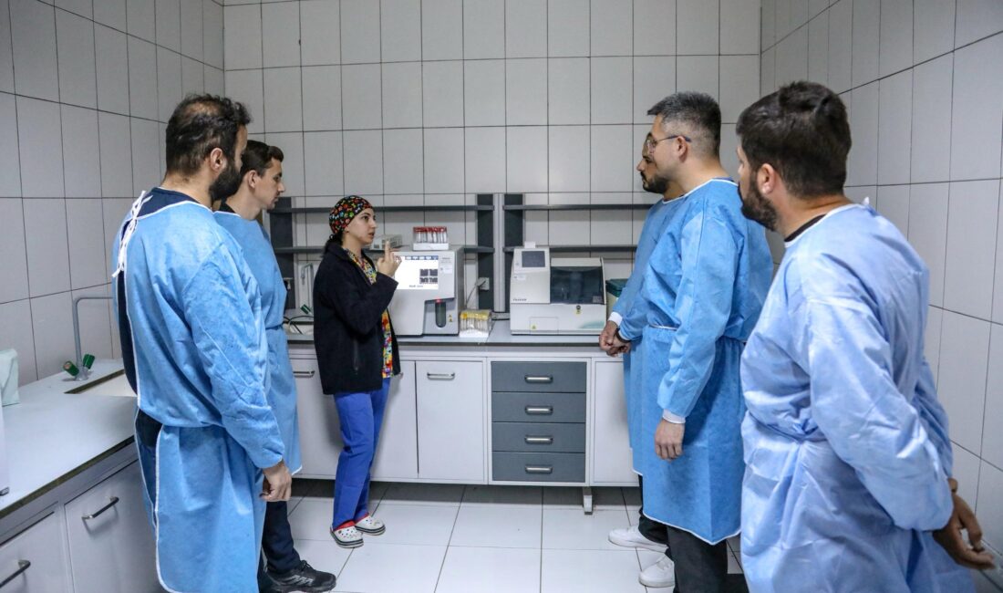 Van Büyükşehir Belediyesi üniversite öğrencilerine uygulamalı eğitim veriyor. Öğrencilerin mesleki