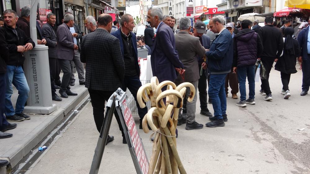 Küçükbaş hayvan varlığında Türkiye'de ilk sırada yer alan Van'da, baharın