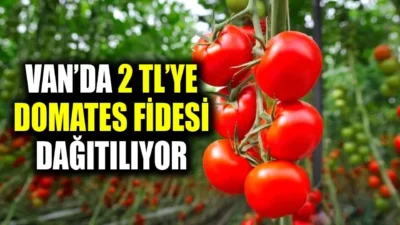 Van’da tarımı desteklemek amacıyla Van İl Tarım ve Orman Müdürlüğü