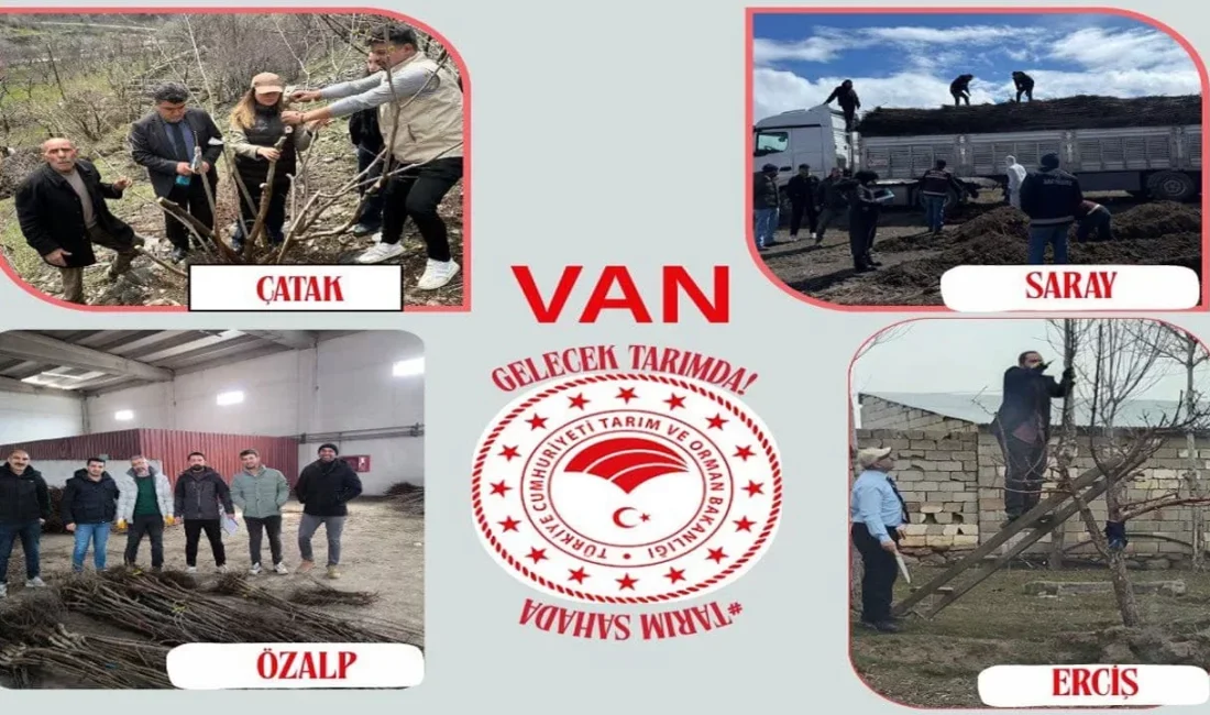 Van İl Tarım ve Orman Müdürlüğü tarafından yürütülen ‘Tarımsal Üretimin