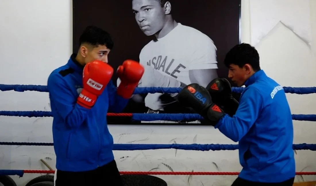 Geçtiğimiz aylarda Türkiye Şampiyonluğu göğüsleyen Vanlı boksör Kurtay Şipal, Mayıs