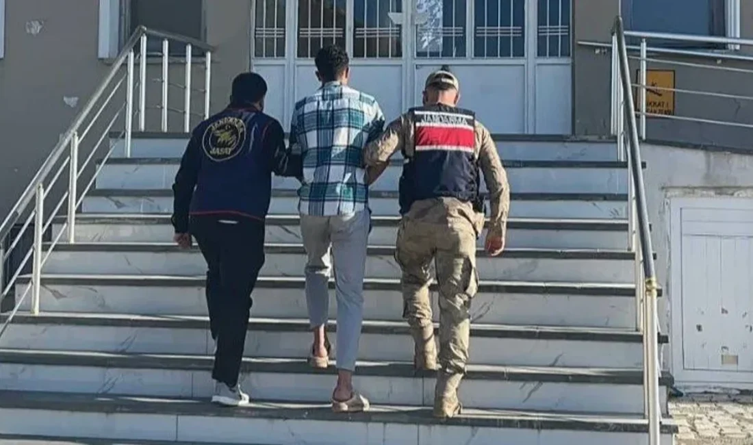 Van'ın Gevaş ilçesinde Kurban Bayramı için beslenen 14 koyunu ağıldan