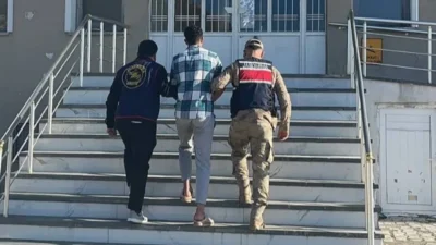 Van'ın Gevaş ilçesinde Kurban Bayramı için beslenen 14 koyunu ağıldan