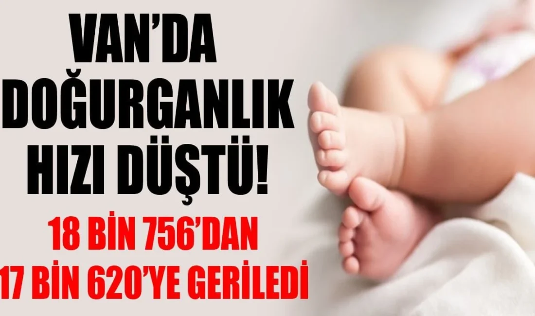 Türkiye İstatistik Kurumu (TÜİK) Van Bölge Müdürlüğü verilerine göre 2025
