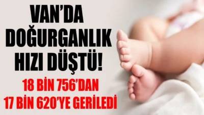 Türkiye İstatistik Kurumu (TÜİK) Van Bölge Müdürlüğü verilerine göre 2025