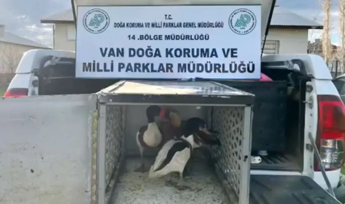 Doğa Koruma ve Milli Parklar 14. Bölge Müdürlüğü ekipleri, gelen