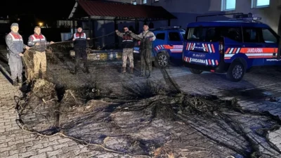 Van’ın Muradiye ilçesinde yasak dönemi olmasına rağmen 800 kilogram inci
