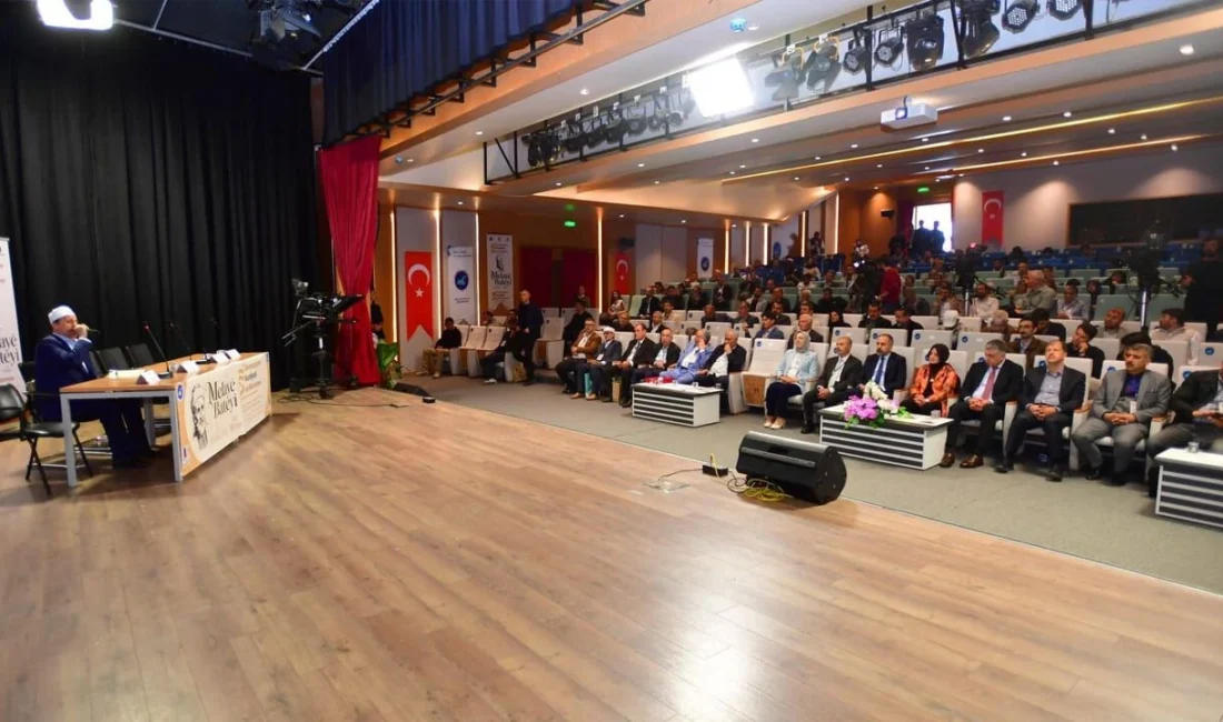 Van Yüzüncü Yıl Üniversitesi Yaşayan Diller Enstitüsü, bilimsel ve kültürel