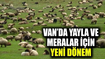 Van Valiliği tarafından yayımlanan 2026/3 sayılı Genel Emir ile yayla,