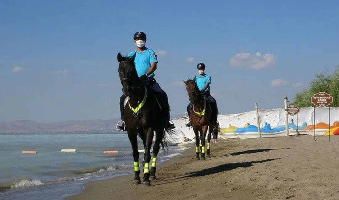 Van'ın Erciş ilçesinde, üreme dönemi nedeniyle tatlı sulara göç eden