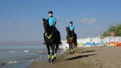 Van'ın Erciş ilçesinde, üreme dönemi nedeniyle tatlı sulara göç eden