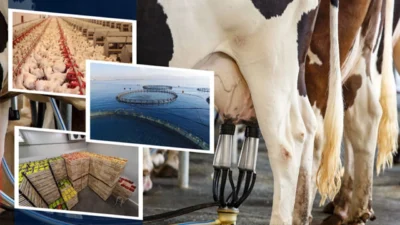 Tarım ve Orman Bakanlığı tarafından yürütülen IPARD III Programı kapsamında