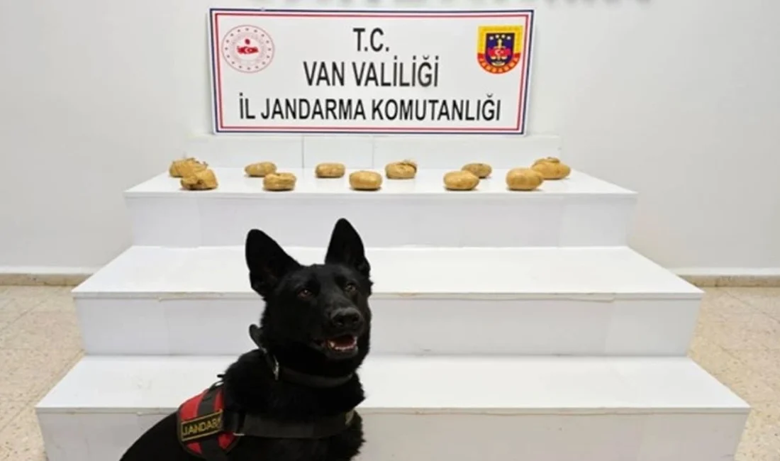 Van’ın Başkale ilçesinde jandarma ekiplerince düzenlenen zehirli maddeyle mücadele operasyonunda