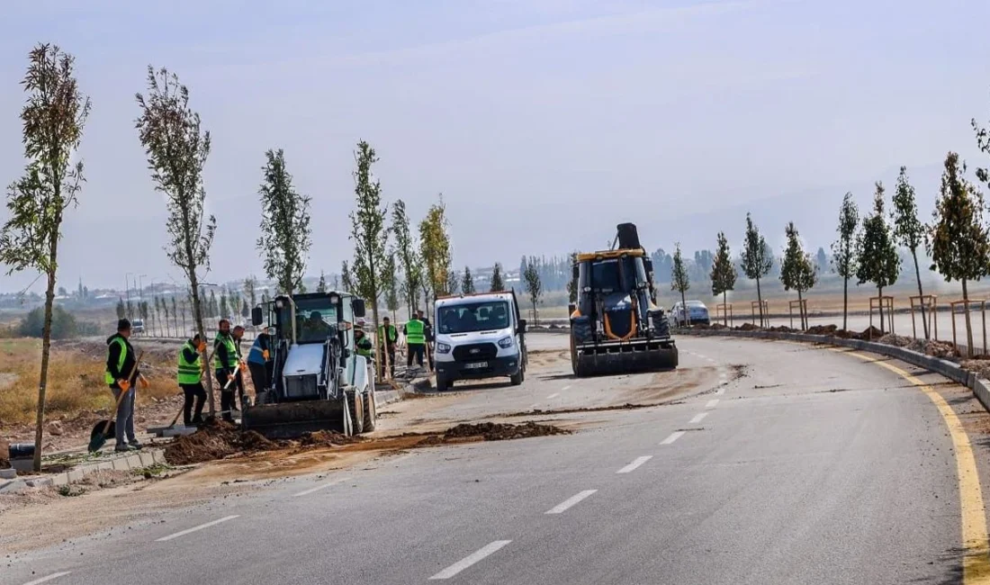 Van Büyükşehir Belediyesi, Van Gölü Sahil Yolu projesi kapsamında ağaçlandırma