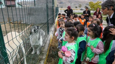 Van Büyükşehir Belediyesi, 4 Ekim Dünya Hayvanları Koruma Günü kapsamında