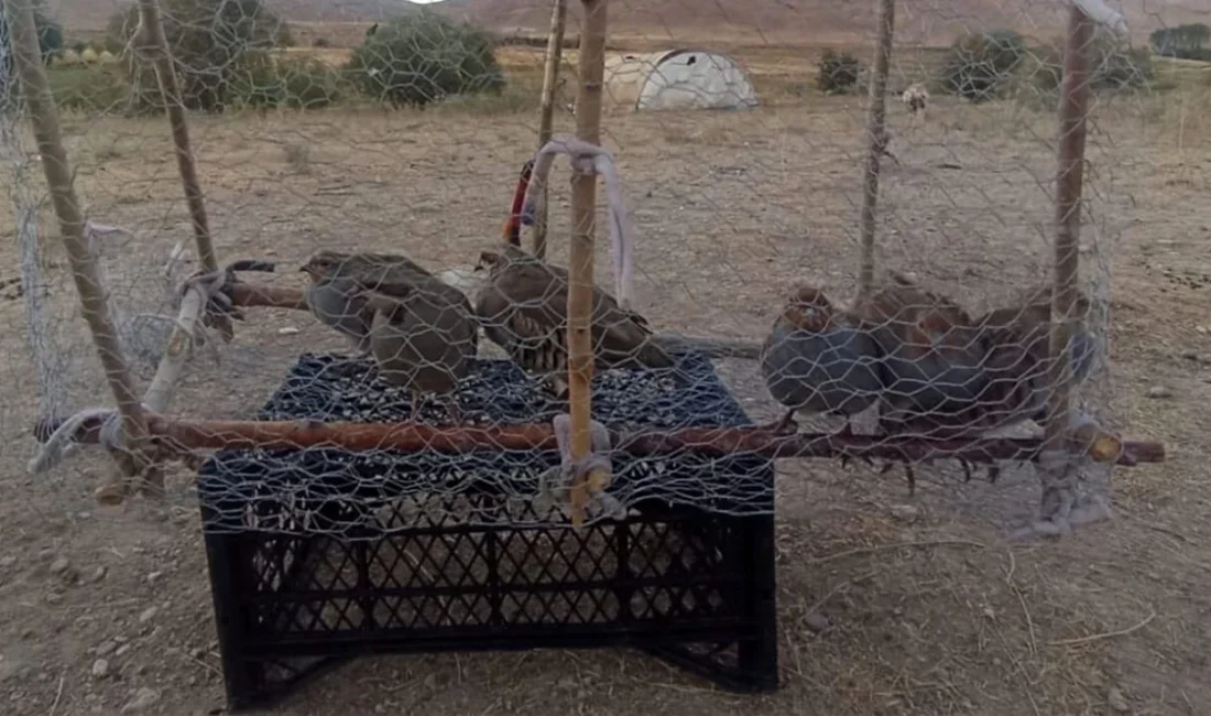 Van’da Doğa Koruma ve Milli Parklar ekipleri ile jandarma ekiplerinin