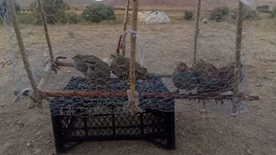 Van’da Doğa Koruma ve Milli Parklar ekipleri ile jandarma ekiplerinin