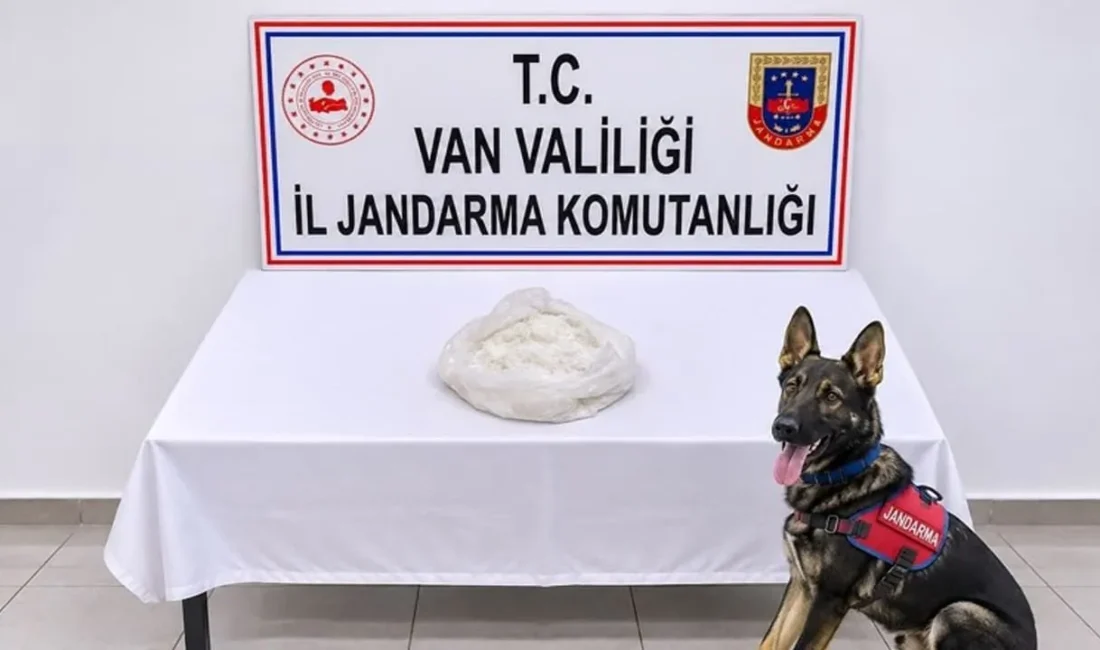 Van’ın Gevaş ilçesinde jandarma ekiplerince düzenlenen zehirli maddeyle mücadele çalışmasında,