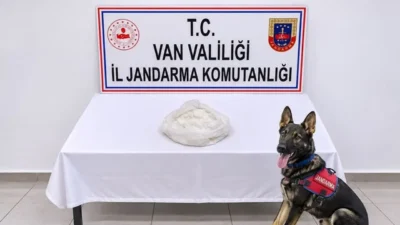 Van’ın Gevaş ilçesinde jandarma ekiplerince düzenlenen zehirli maddeyle mücadele çalışmasında,